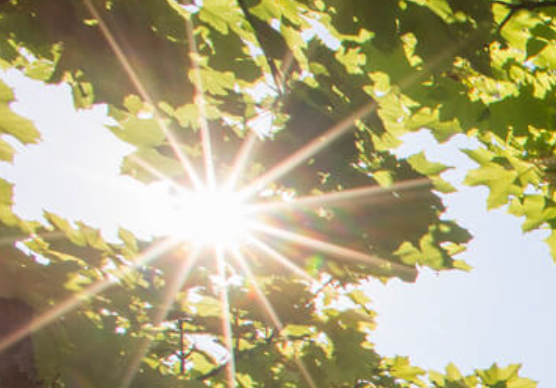 Sommertreff mit Live-Musik auf dem Rathausplatz